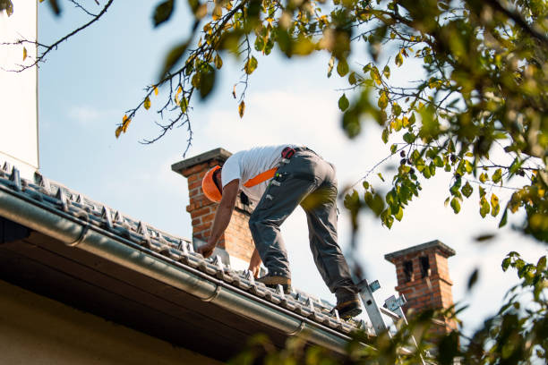 Professional Roofing in Ravenna, OH