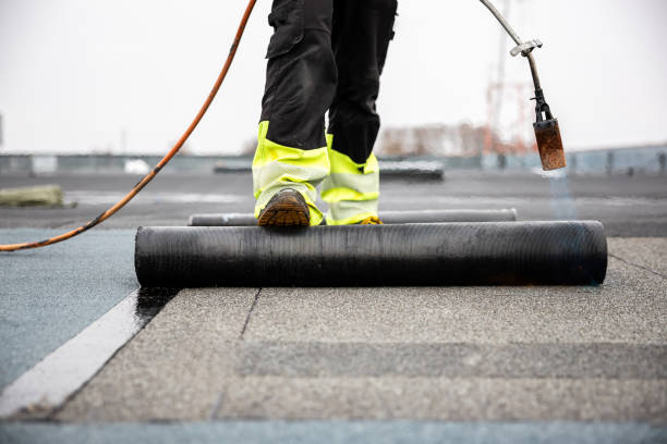 Best Roof Leak Repair  in Ravenna, OH